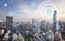 Khu Thương mại tự do Đà Nẵng có chức năng gì?