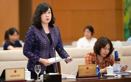 Chính thức bãi bỏ quy định mỗi cặp vợ chồng chỉ sinh một hoặc hai con