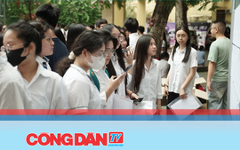 Thí sinh Hà Nội làm thủ tục dự thi vào lớp 10 Trung học phổ thông (2025-2026)