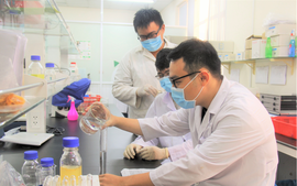 Công bố kết quả chương trình thu hút nhà khoa học đầu ngành 2025