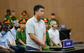 Cựu Chủ tịch Tập đoàn Phúc Sơn lĩnh án 30 năm tù, bà Hoàng Thị Thúy Lan nhận mức án 14 năm tù