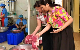 Điểm danh thêm 7 cơ sở vi phạm an toàn thực phẩm