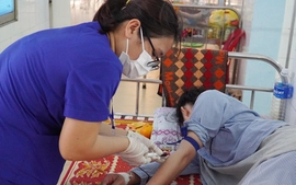 Hà Nội ghi nhận 4 ổ dịch sốt xuất huyết