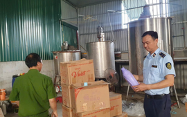 Một doanh nghiệp bị phạt do sản xuất hàng giả D-nee, Hygiene