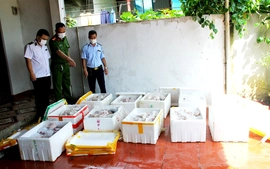 Tiêu huỷ hơn 400kg thịt lợn bốc mùi hôi thối trong khu dân cư