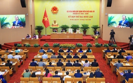 Hà Nội xem xét thông qua vấn đề về hỗ trợ bữa ăn bán trú cho học sinh Tiểu học trên địa bàn thành phố