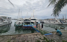 Quảng Ninh: Bắt buộc phải cung cấp thông tin, kỹ năng an toàn cho hành khách trước khi lên tàu