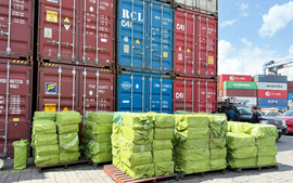 Mỹ áp thuế đối ứng 20% với Việt Nam