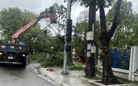 Bão Bualoi gây thiệt hại nặng nề: 12 người tử vong, 17 ngư dân mất tích