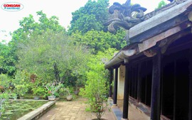 Vườn An Hiên, "vưu vật xứ Huế" vào phim Mưa Đỏ