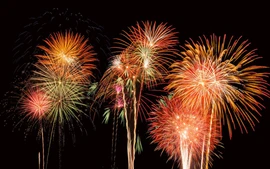 Pháo hoa sẽ rực sáng Hà Nội chào mừng Đại hội XIV của Đảng