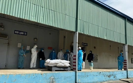 Tạm dừng sản xuất tại Nhà máy Đồ hộp Hạ Long - Hải Phòng