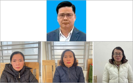 Vụ Công ty Cổ phần Đồ hộp Hạ Long: Tạm giữ thêm một nhân viên kiểm dịch