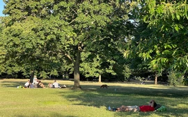 Công viên xanh cũng tiềm ẩn mầm bệnh ung thư, vì đâu?