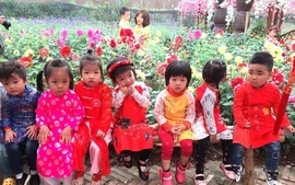 Lịch nghỉ Tết Nguyên đán Bính Ngọ của học sinh cả nước