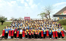 Lào Cai có 134 học sinh đạt giải Kỳ thi học sinh giỏi quốc gia, xếp thứ 8 toàn quốc