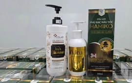 Công an Quảng Ninh triệt phá ổ nhóm chuyên sản xuất, buôn bán hàng giả quy mô lớn