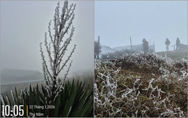 Miền Bắc lạnh tê tái, nhiệt độ xuống thấp thêm 2 ngày nữa