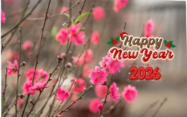 Các hoạt động tổ chức vui xuân, đón Tết năm 2026