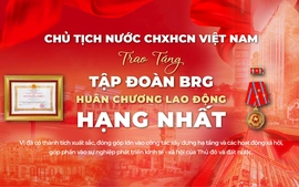 Tập đoàn BRG – Bản lĩnh tiên phong và kiên định mục tiêu phát triển bền vững