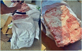 Khởi tố 9 bị can thu gom, vận chuyển và tiêu thụ số lượng lớn thịt lợn nhiễm dịch tả