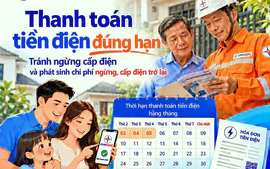 Tổng công ty Điện lực Thành phố Hồ Chí Minh ban hành đơn giá ngừng, cấp điện trở lại