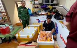 Triệt phá đường dây buôn lậu trứng gà non "bẩn" qua biên giới