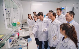 "Nhóm nghiên cứu mạnh" cần tối thiểu 50% thành viên là giảng viên cơ hữu, nghiên cứu viên cơ hữu
