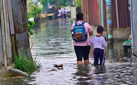 Các trường học tại Thành phố Hồ Chí Minh phải có phương án điều chỉnh thời khóa biểu ứng phó thiên tai