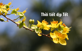 Xu hướng thời tiết dịp Tết Bính Ngọ 2026