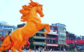 Sa Pa rực rỡ sắc màu đón Xuân