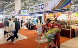 Hội chợ OCOP và ẩm thực Quảng Ninh Xuân 2026 diễn ra từ 14/2 đến 3/3