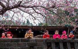 Dự báo thời tiết từ ngày mùng 1 đến mùng 6 Tết