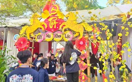 Hình tượng con ngựa: Từ biểu tượng văn hóa đến bài học làm người