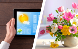 Thời tiết 3 miền mùng 4 đến mùng 6 Tết Bính Ngọ