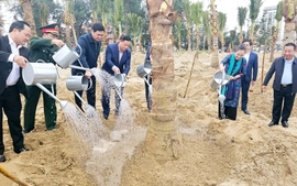 Nghệ An phát động Tết trồng cây bên bờ biển Cửa Lò