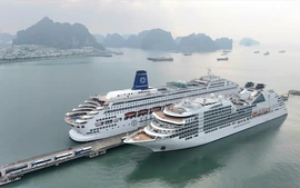 Tết Bính Ngọ ghi nhận kỷ lục khách du lịch quốc tế thăm Việt Nam