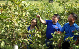 Học sinh, sinh viên sẵn sàng làm chủ tương lai với chương trình hỗ trợ khởi nghiệp 2026 – 2035
