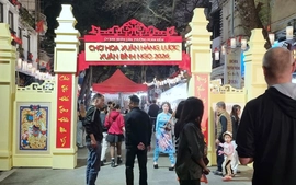 Khai mạc chợ hoa Xuân - Hàng Lược Xuân Bính Ngọ 2026