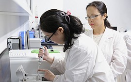 Học bổng STEM cho nữ giới 2026: Cơ hội học thạc sĩ tại Vương quốc Anh trị giá 40.000 bảng
