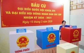 Các KOL là hoa hậu, nam vương sẽ phối hợp tuyên truyền bầu cử