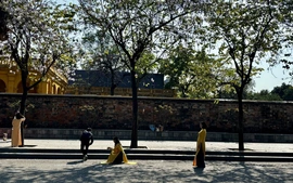 Những điểm "check-in" hoa lá mùa xuân Hà Nội