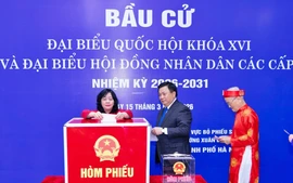 Trên 99% cử tri cả nước đã đi bỏ phiếu bầu cử đại biểu Quốc hội và HĐND các cấp