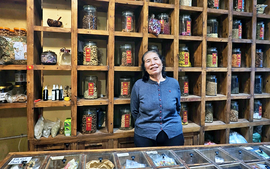 Nghề thuốc trăm năm trên phố thuốc Bắc Hà Nội