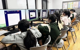 Khi giáo viên "nhắc bài": Góc khuất của bệnh thành tích và bài học về lòng trung thực