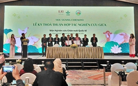 Chuyển đổi chăn nuôi bền vững trong hệ thống lương thực thực phẩm ở châu Á - Thái Bình Dương