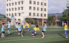 Thể thao học đường tại Quảng Ninh được quan tâm đầu tư đồng bộ