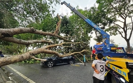 Dông lốc làm hư hại gần 60 ngôi nhà ở Lào Cai, 1 công nhân môi trường bị thương