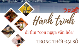 Trà nghệ gia Đỗ Công - hành trình tìm "con ngựa văn hóa" giữa nhịp sống hối hả
