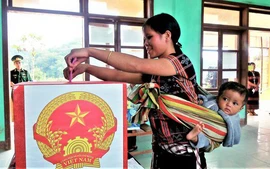 Theo Luật, hành vi nào bị cấm trong bầu cử?